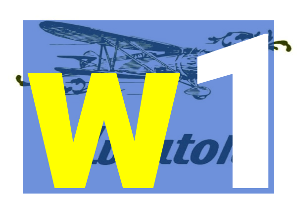 w1-boxing png